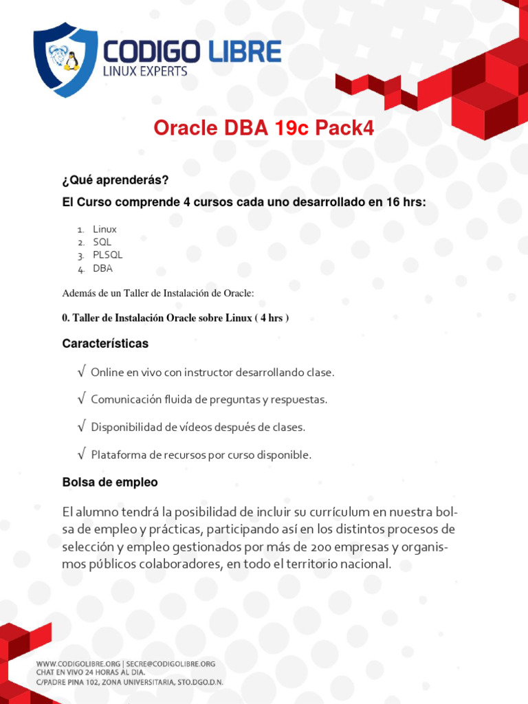 Curso Oracle DBA 19c: Aprende desde cero | PDF | SQL | Apoyo