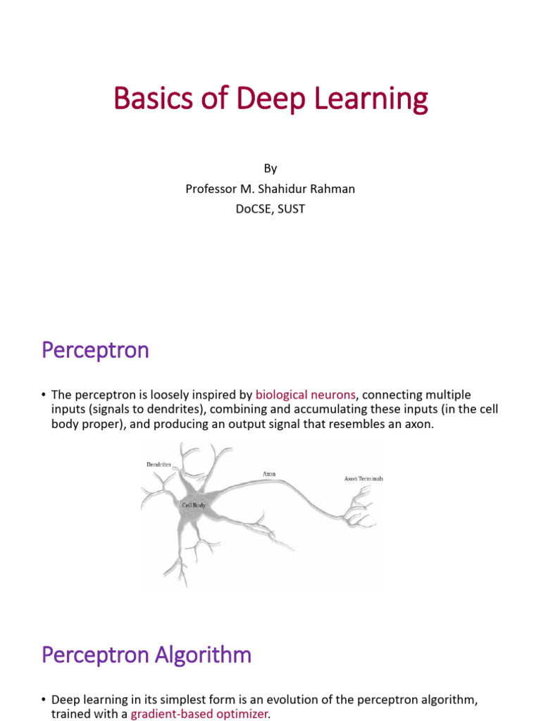 Basics Of Deep Learning Pdf