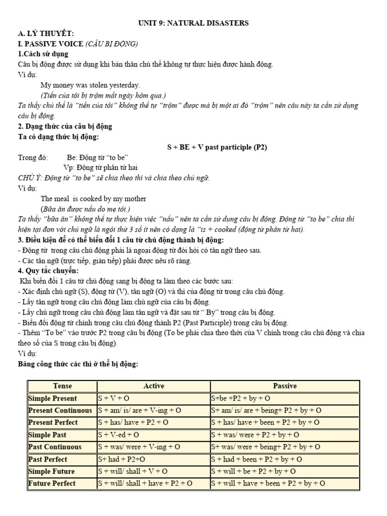 Unit 9 natural disasters pdf