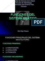 Funciones Del Sistema Gnático