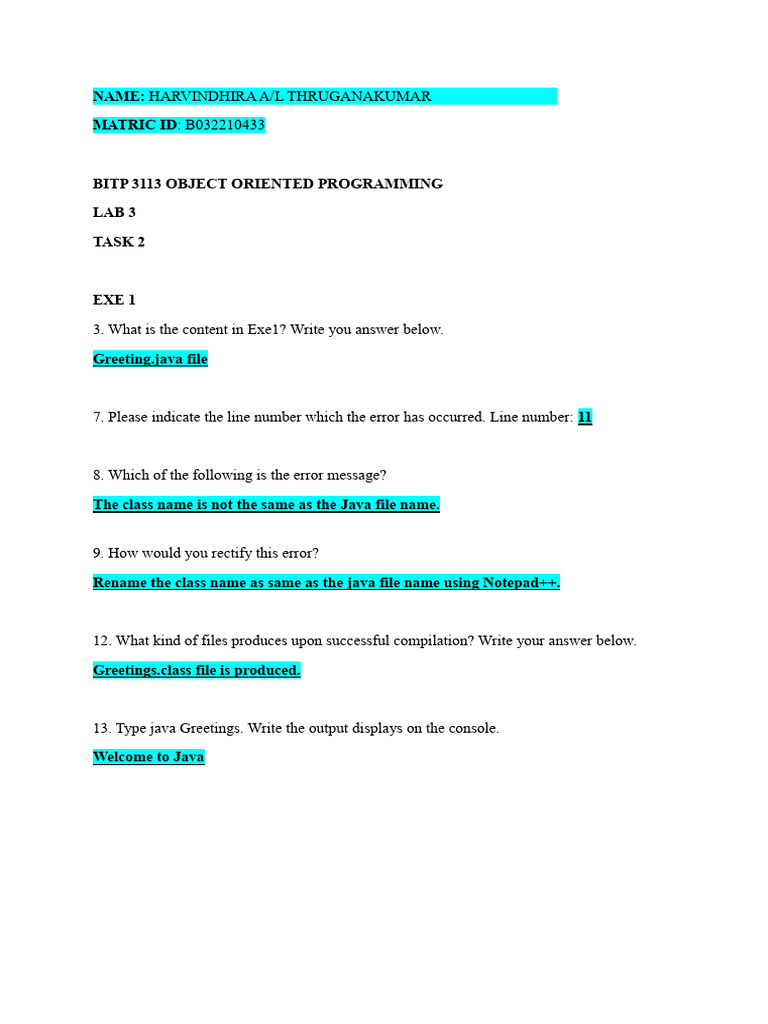 Lab 3 - Oop - Bitp 3113 | PDF | Filename | Command Line Interface