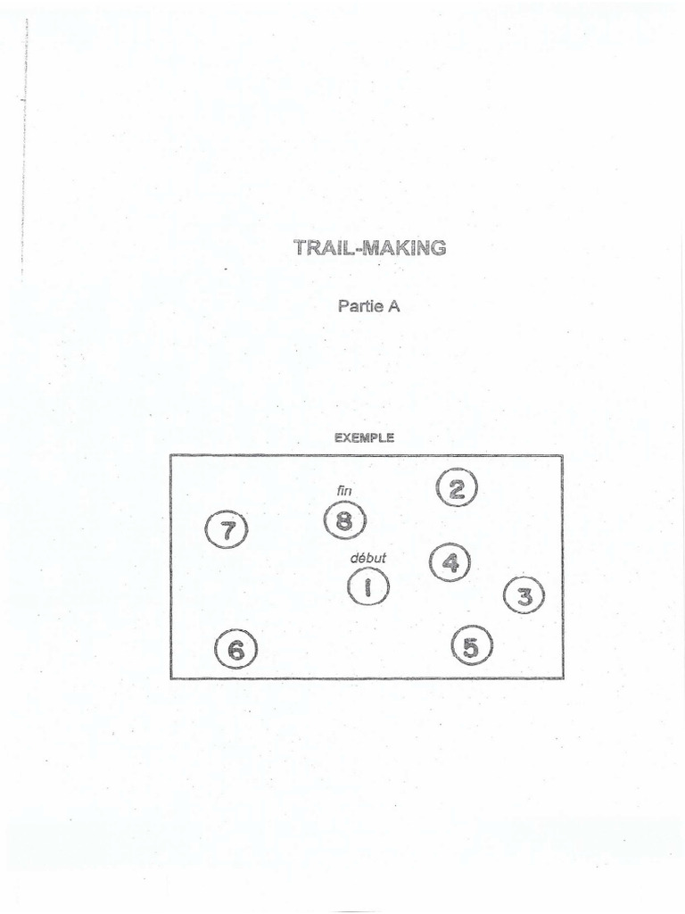 TMT | PDF