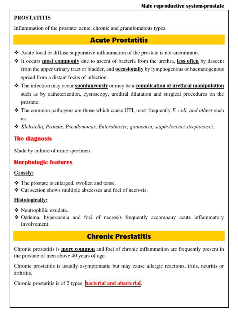 Prostate Disorders: Prostatitis & Cancer | PDF | Metastasis | Prostate