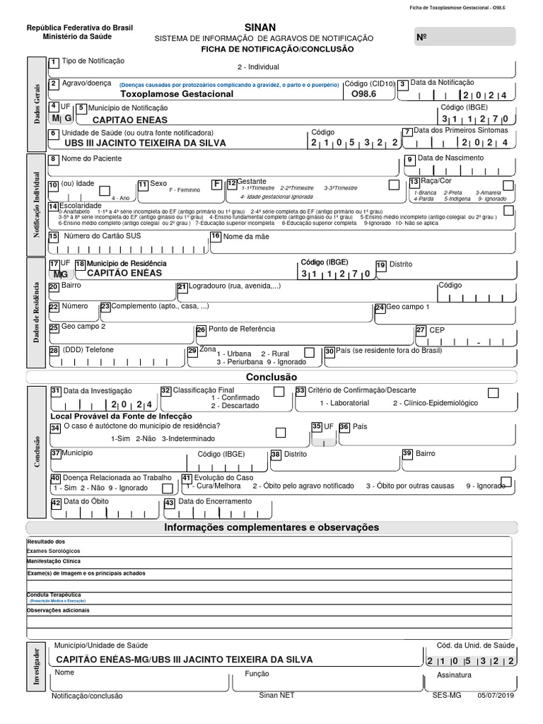 Ficha de Notificação Toxoplasmose Gestacional O98.6 SINAN MG - 2019 ...