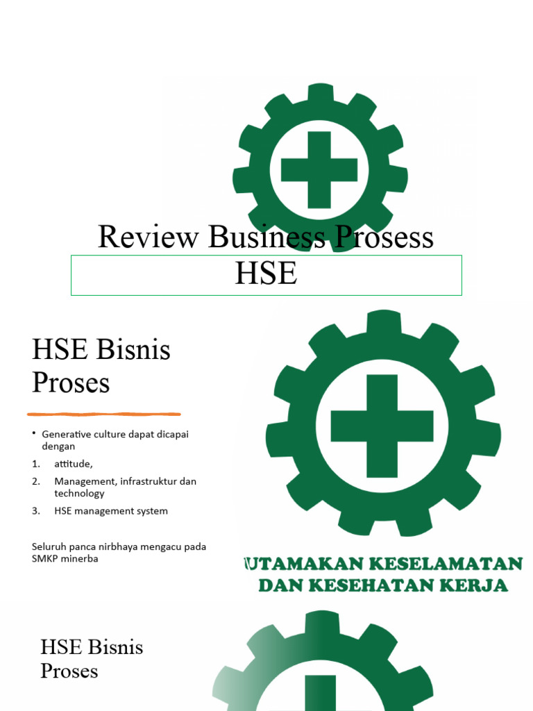 HSE Business Process Review Guide | PDF