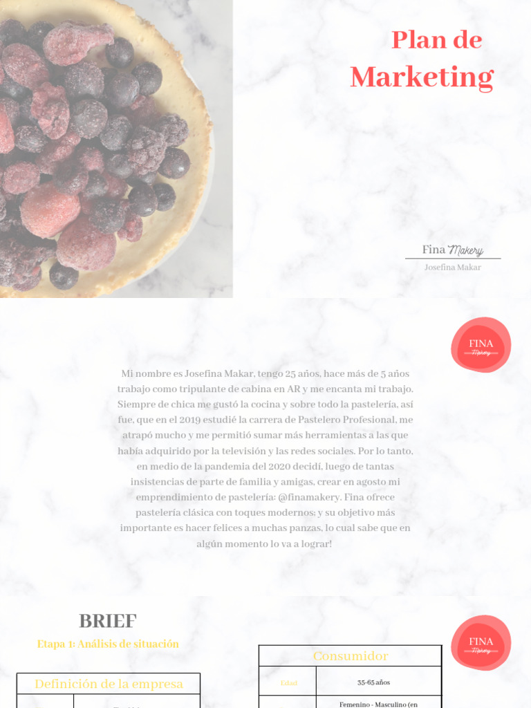 Plan de Marketing para Fina Makery | PDF | Marketing | Producto (Negocio)