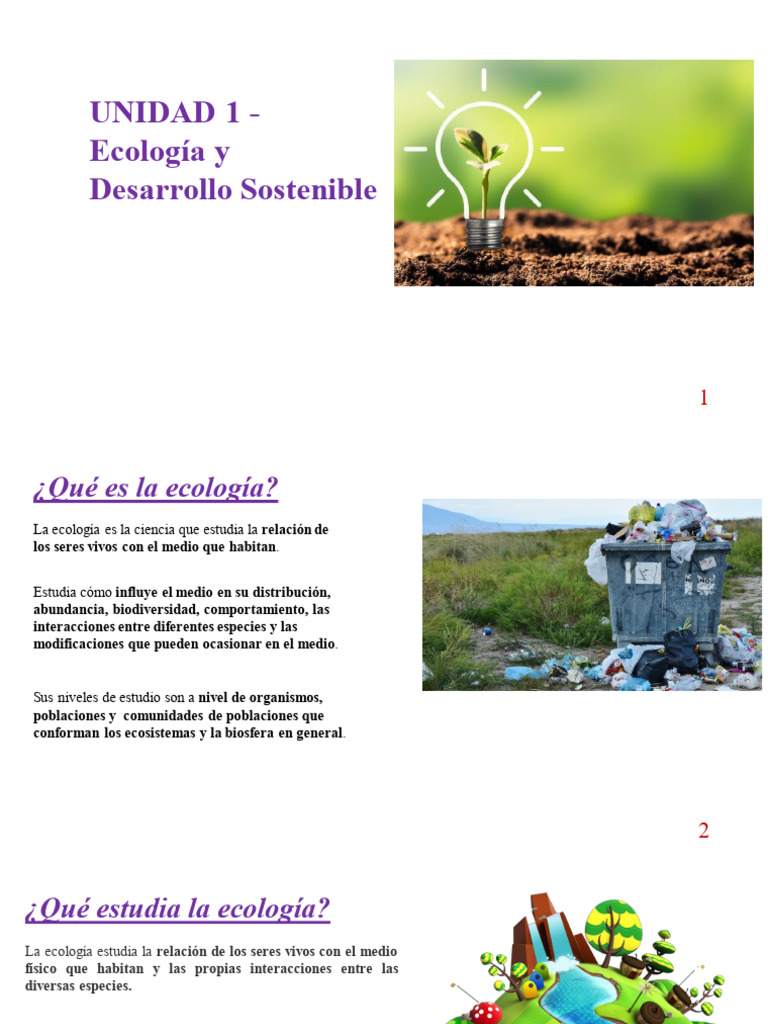 Tipos de Ecología y sus Niveles | PDF | Ecología | Ecosistema