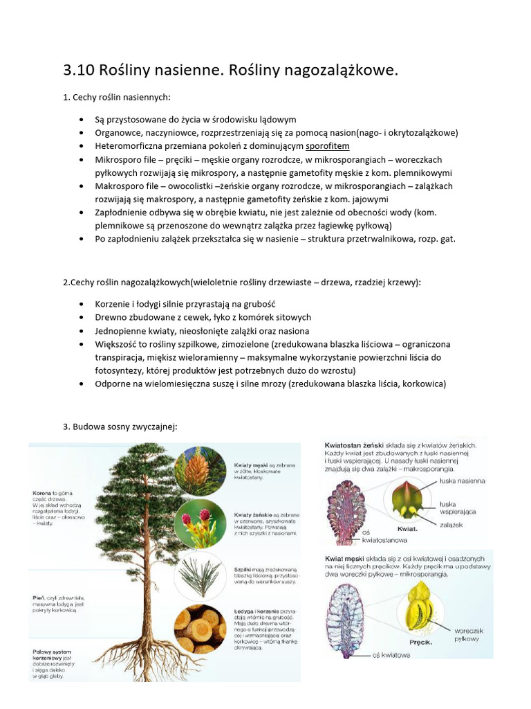 3.10 Rośliny Nasienne. Rośliny Nagozalążkowe | PDF