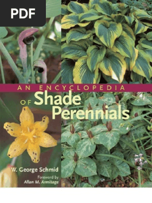 An Encyclopedia Of Shade Perennials Trees Gardens