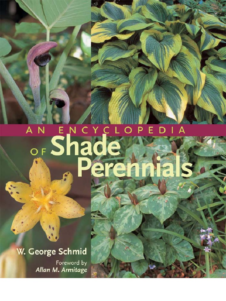 An Encyclopedia of Shade Perennials, PDF, Trees