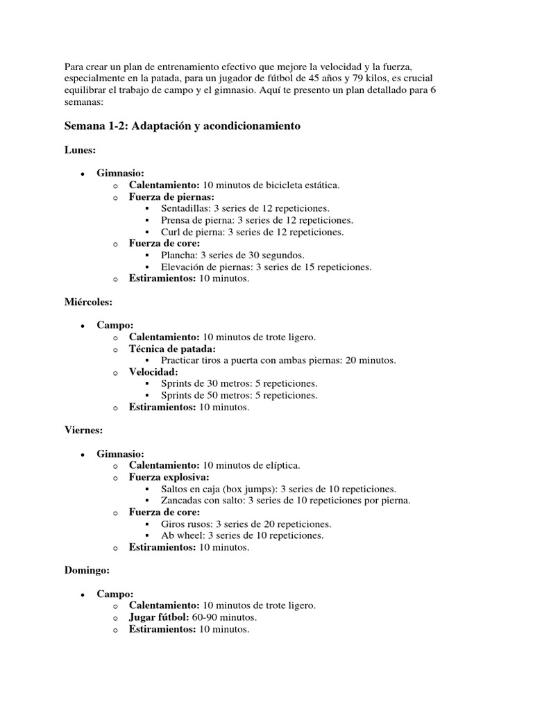 PLANIFICACION DE ENTRENAMIENTO DE FUERZA visual data 4