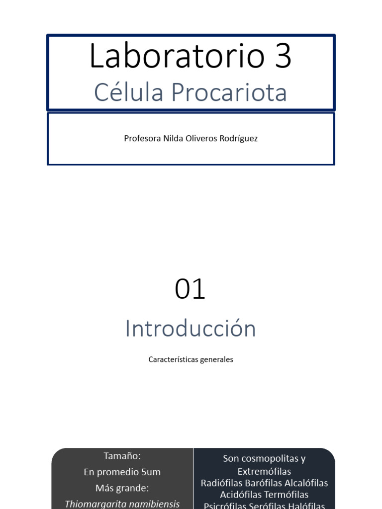Semana 3 - Célula Procariota-1 | PDF | Las bacterias | Biología