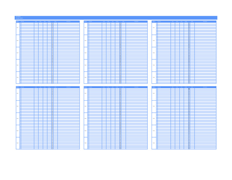 Workout Program Template - Weeks 1-6 | PDF