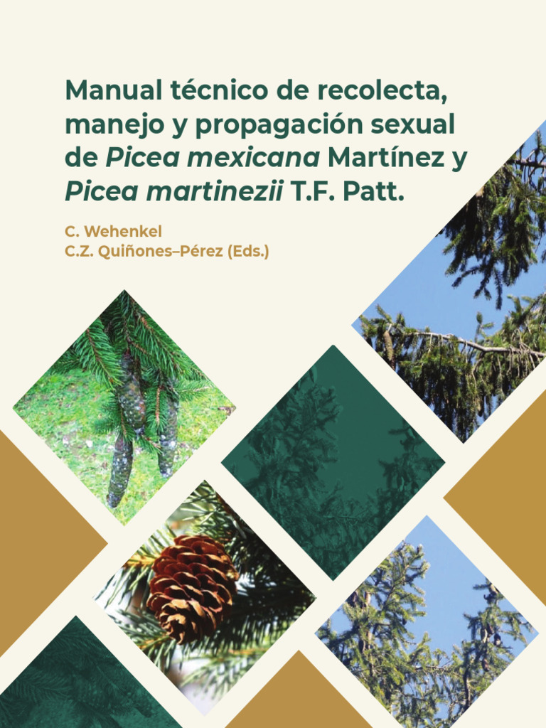 Propagación de Picea mexicana y martinezii | PDF | Semilla | Biodiversidad