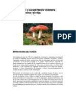 LOS HONGOS Y LA EXPERIENCIA VISIONARIA. Raúl Henao