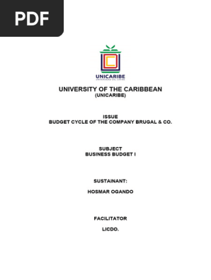 Final Work Business Budget I