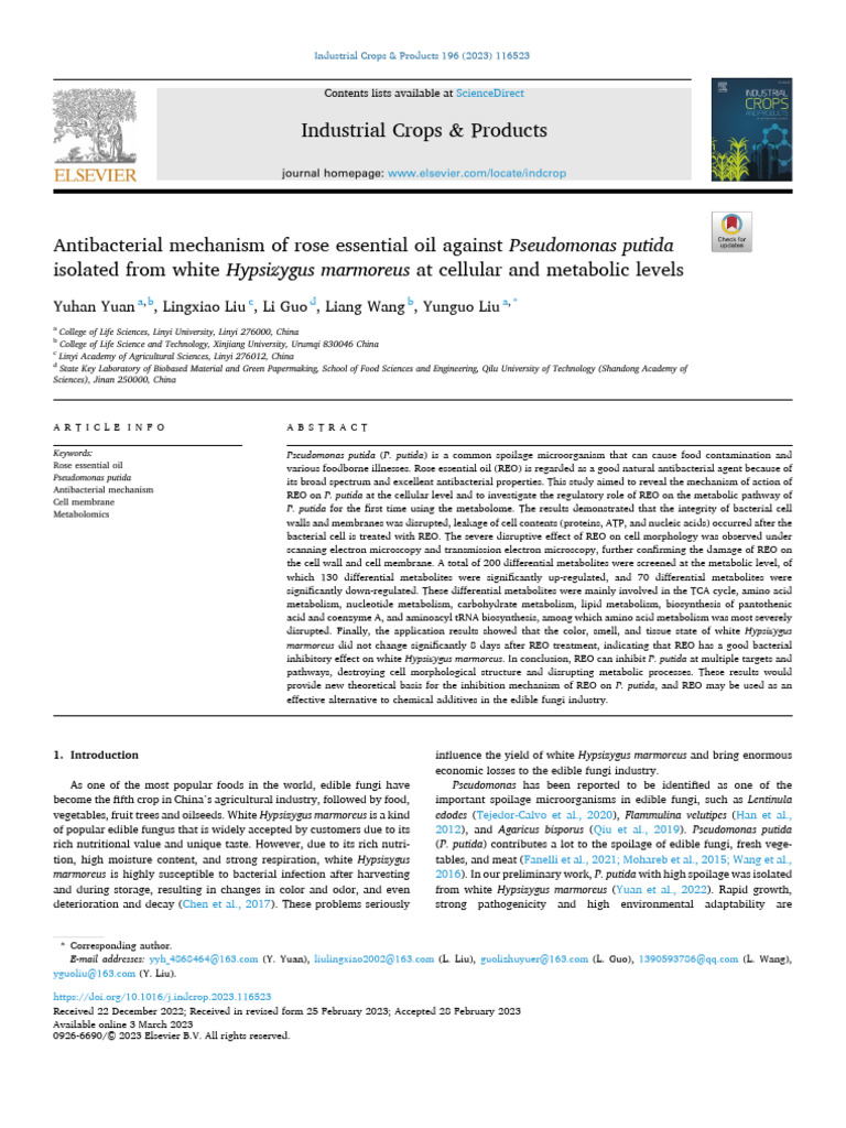 Antibacterial Mechanism of Rose Essential Oil Against Pseudomonas ...