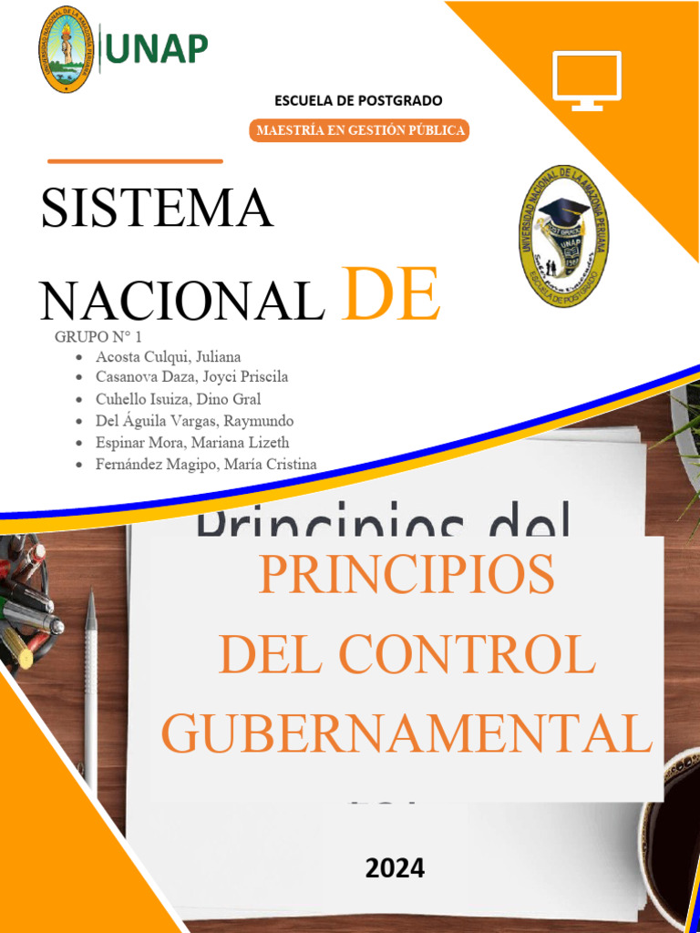 Principios del Control Gubernamental 2024 | PDF | Debido al proceso ...