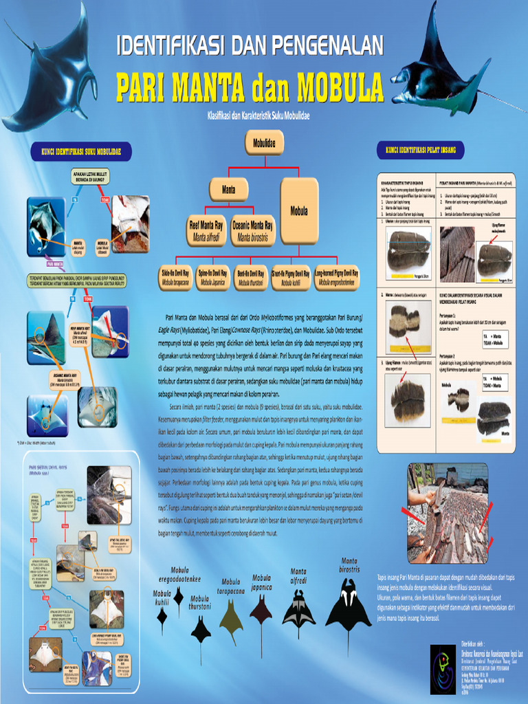 Poster Pari Manta Pdf