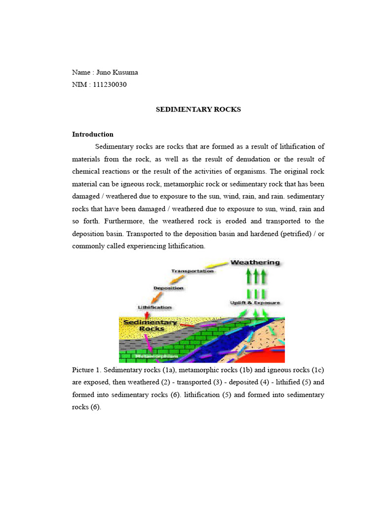Understanding Sedimentary Rocks Formation | PDF | Sedimentary Rock ...