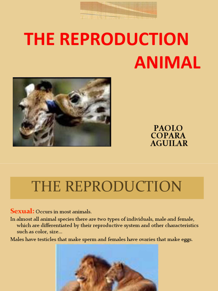 Animal Reproduction: Types and Processes | PDF | Sexual Reproduction | Egg