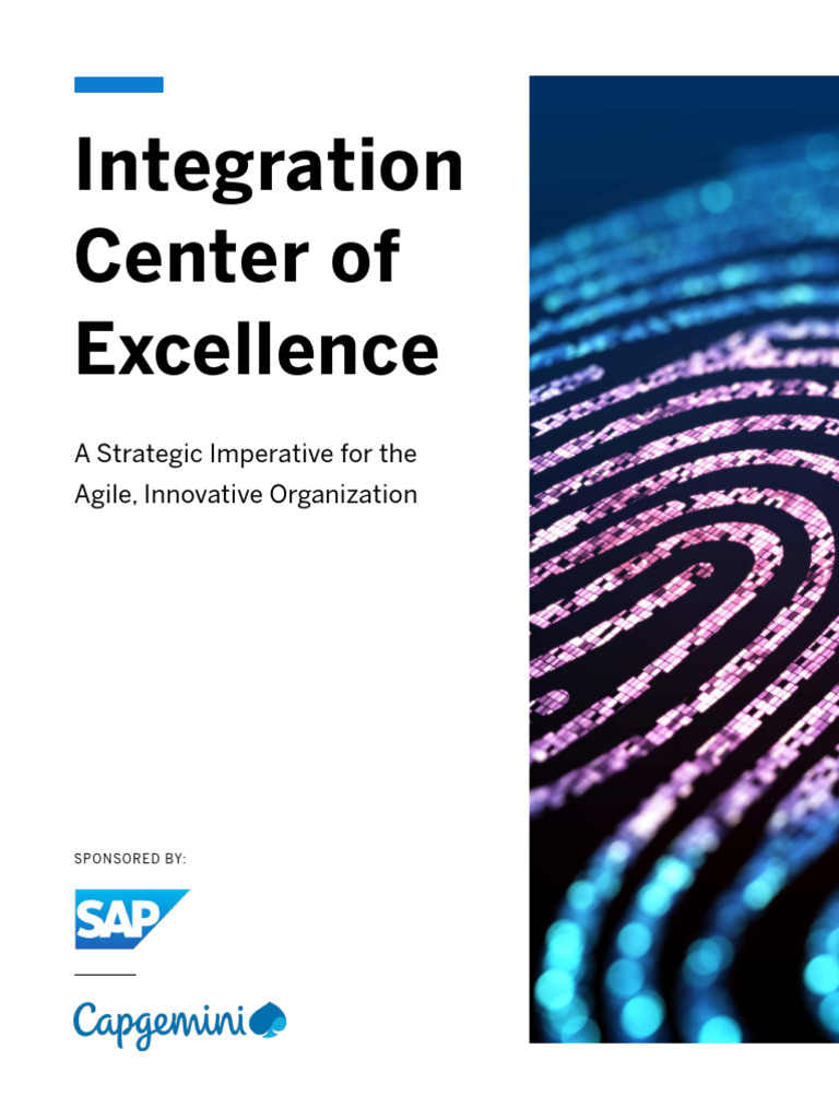 Integration Center of Excellence Guide | PDF | Business Process ...