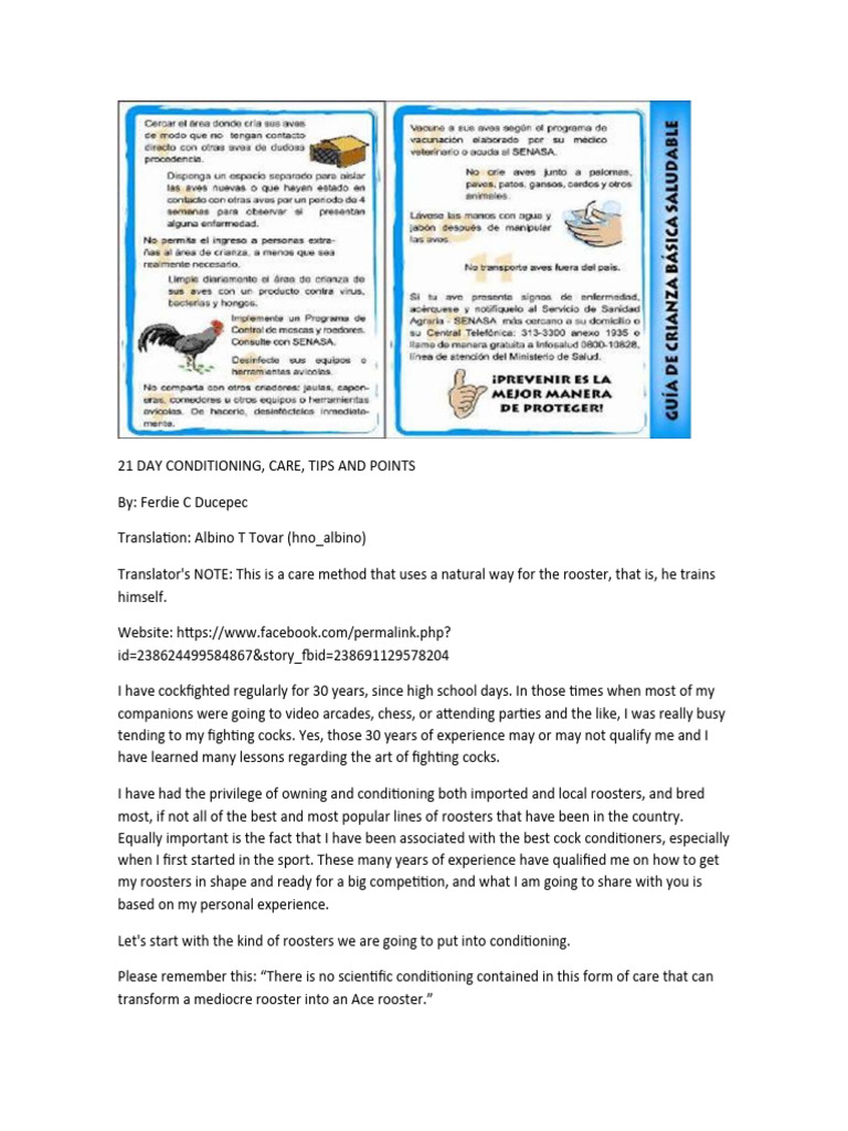21-Day Rooster Conditioning Guide | PDF | Nutrition | Diet & Nutrition