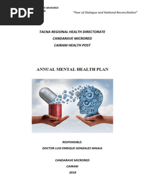 Annual Mental Health Plan 2018
