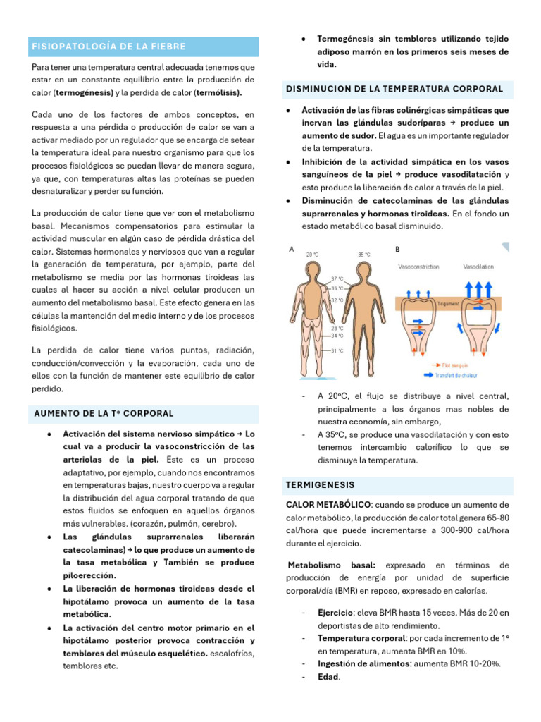 Fisiopatología De La Fiebre Pdf Fiebre Termorregulación