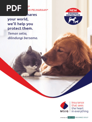 MSIG+Pet+Insurance+Brochure+with+PDS
