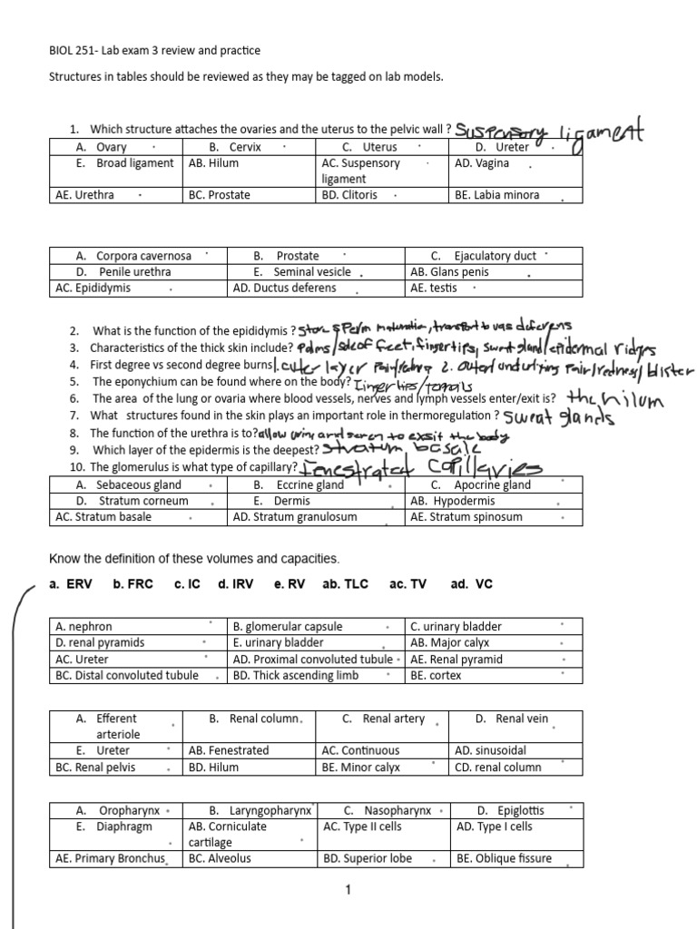 BIOL+251.+Lab+3.Review 2 | PDF | Kidney | Lung