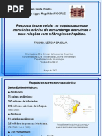 Apresentação Qualificação final