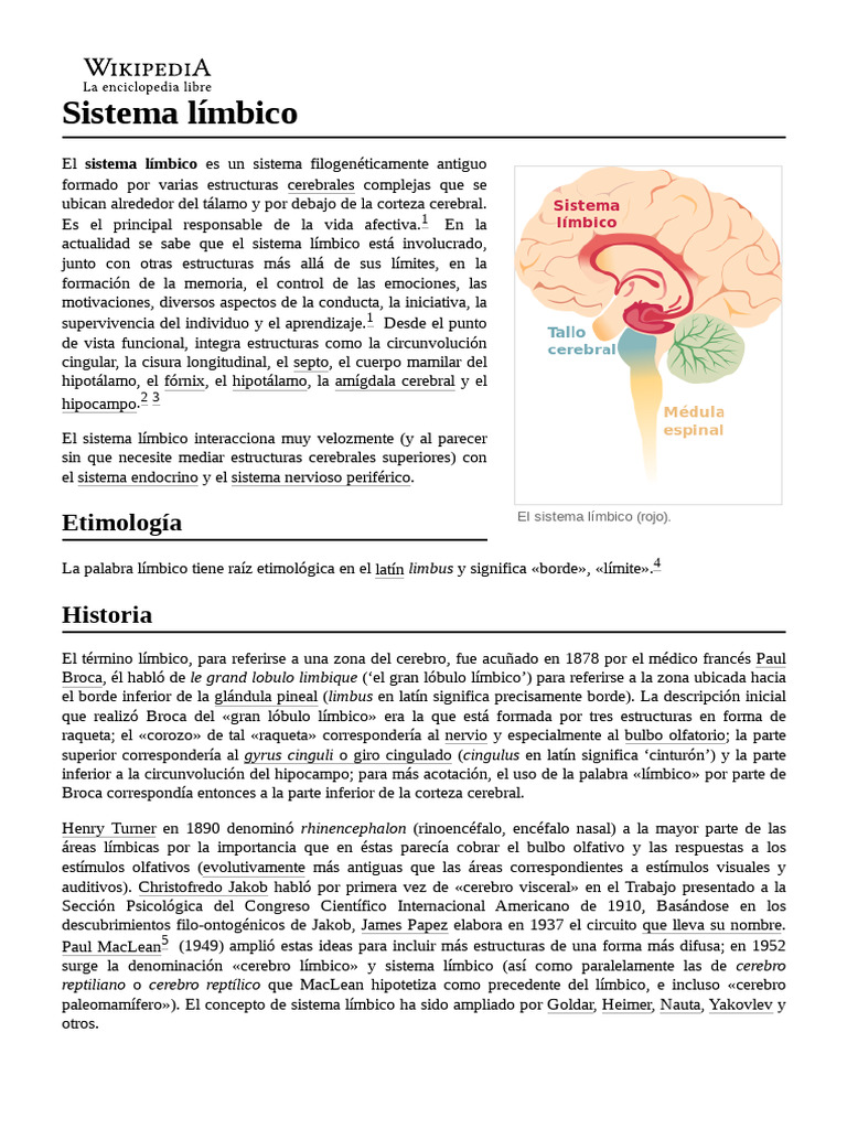 Funciones y Estructura del Sistema Límbico | PDF | Sistema límbico ...
