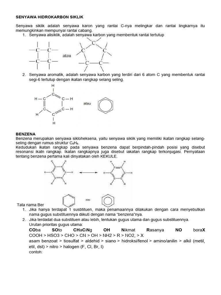 Struktur dan Contoh Senyawa Siklik | PDF