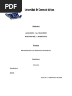 Reporte de Lectura Fundacion Vamos Mexico