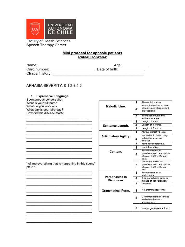 Mini Protocol For Aphasic Patients | PDF | Aphasia | Speech