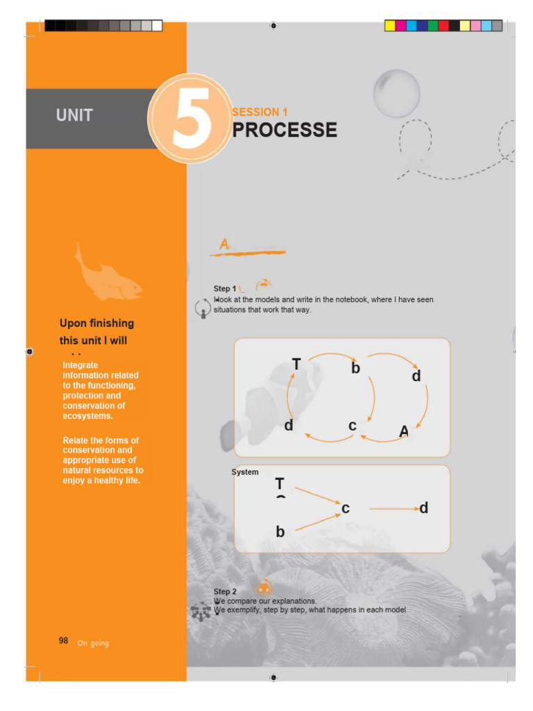 Natural Sciences Pdf Food Web Ecosystem
