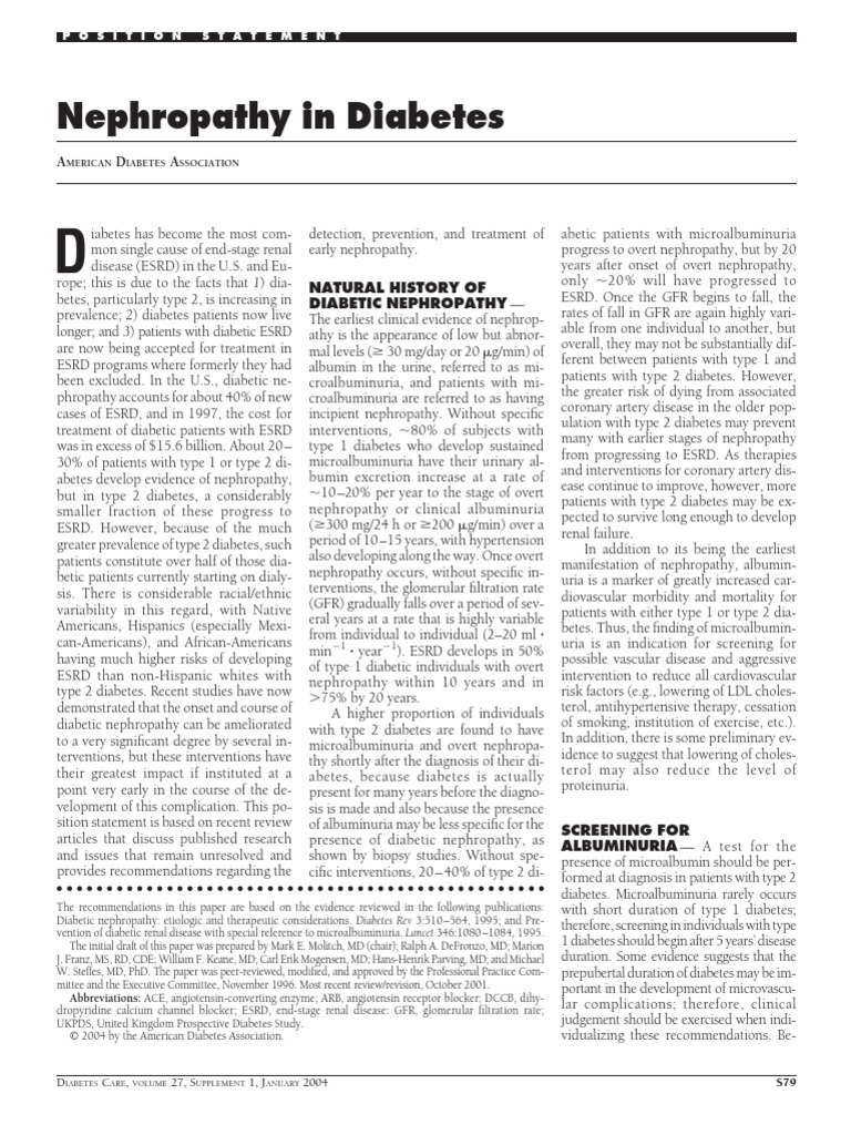 Diabetic Nephropathy Overview and Insights | PDF | Chronic Kidney ...
