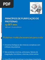 Aula 3 - Princípio de Purificação de Proteínas