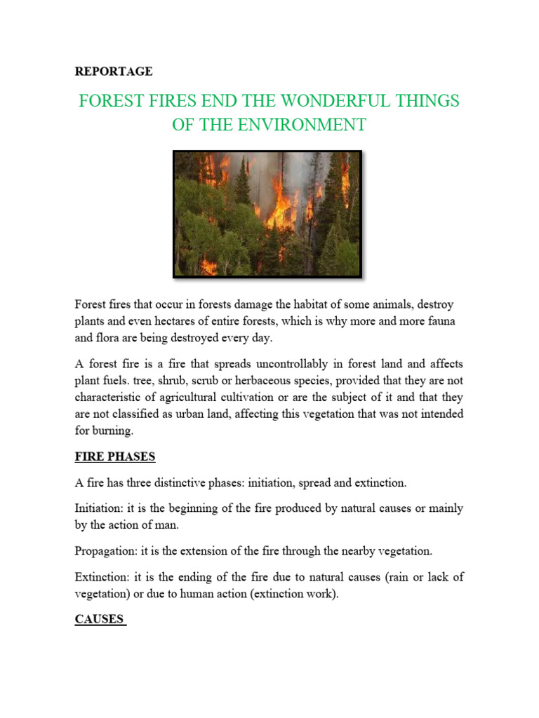 Forest Fire Pdf Fires Wildfire