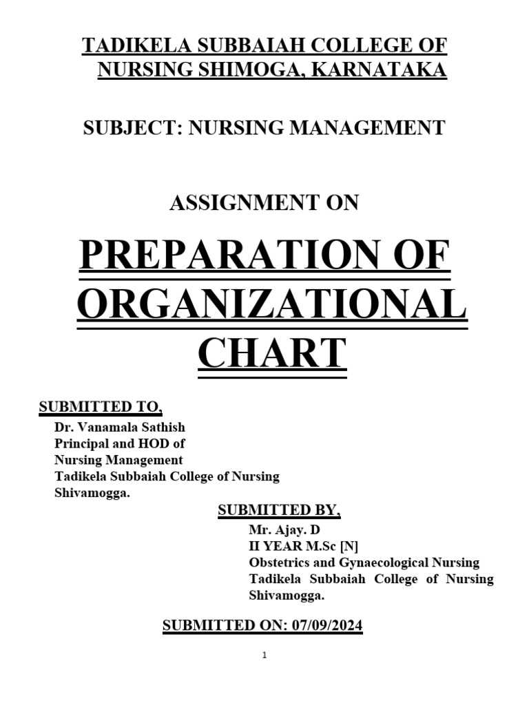 Nursing College Organizational Chart Guide | PDF | Nursing ...