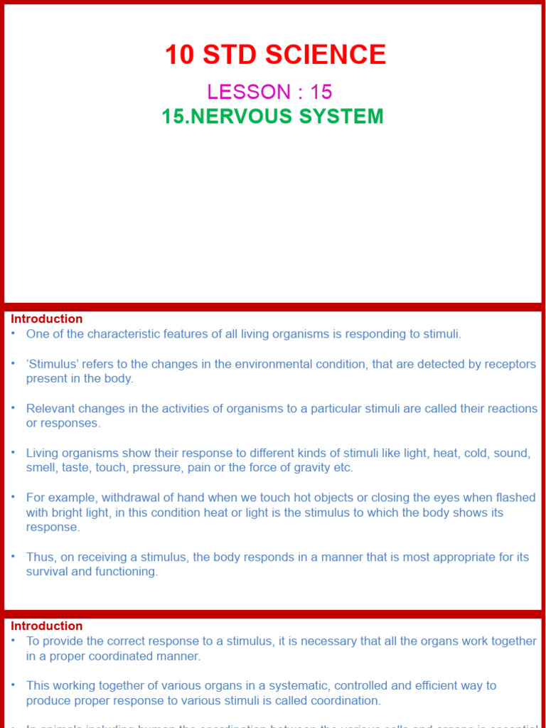 10th STD 15. Nervous System | PDF | Axon | Neuron