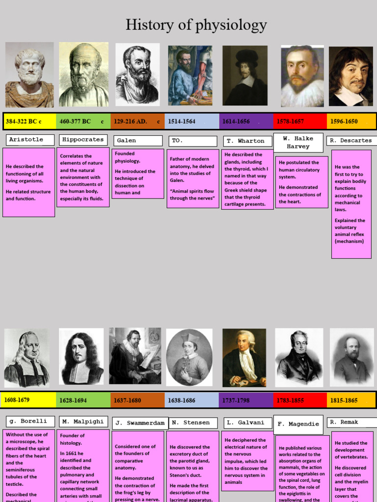 Timeline of Physiology's Key Figures | PDF | Nervous System | Physiology