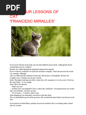 The Four Lessons of the Cat Francesc Miralles'