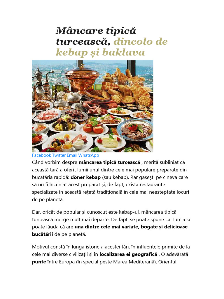 Mâncare Tipic Turcească | PDF