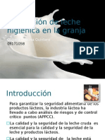 Producción de Leche Higiénica en La Granja: Haga Clic para Modificar El Estilo de Subtítulo Del Patrón 05171058