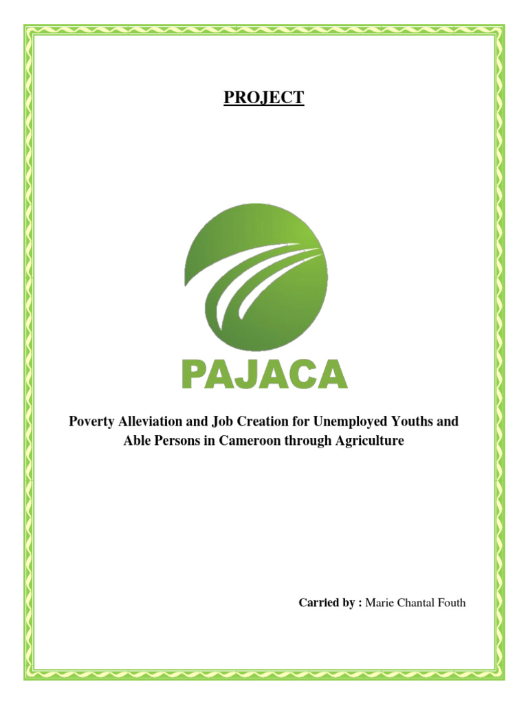Business Plan Pajaca Project | Download Free PDF | Agriculture | Plant ...
