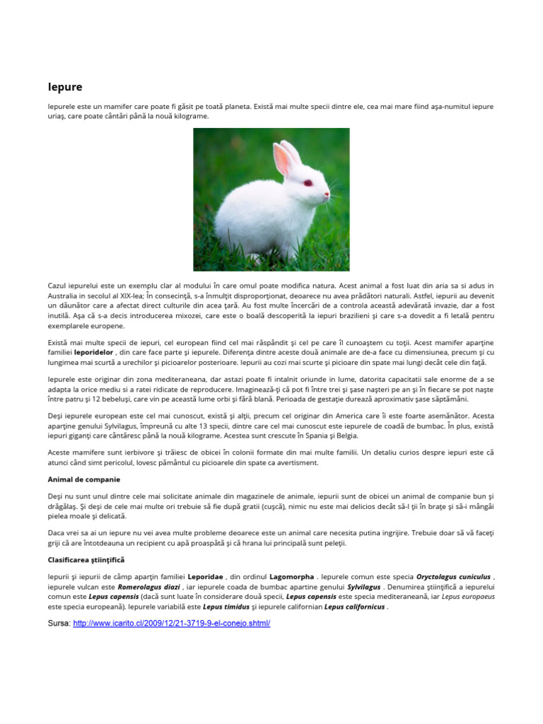 Informații Despre Iepure | PDF