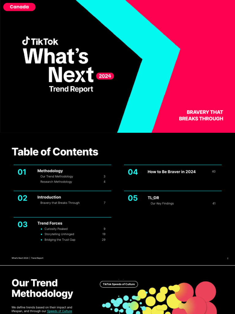 TikTok What's Next 2024 Trend Report PDF Storytelling Brand