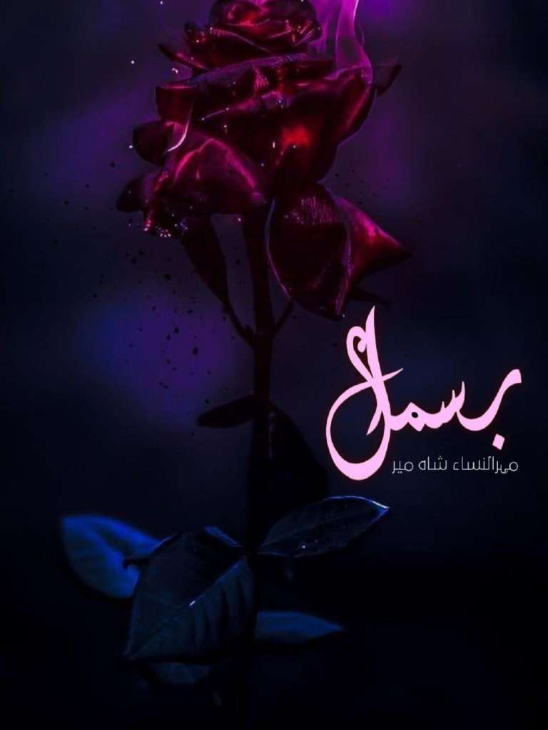 (EP-13) Bismil by Mehrulnisa Shahmeer | PDF